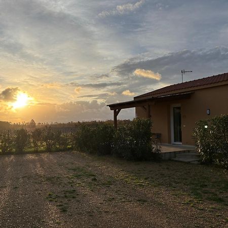 Maris Suite - Appartamento Con Vasca Idromassaggio Alghero Exterior photo